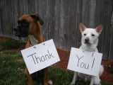 th_thank-you.jpg
