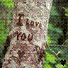 tree.gif image by cubensis22