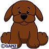 Chocolate_Lab.jpg image by guam090